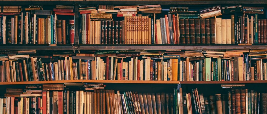 Books I've read this year